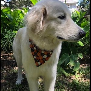 Halloween 🎃 Dog/ Cat Bandanna. 💯 Cotton
